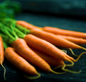 Carrot