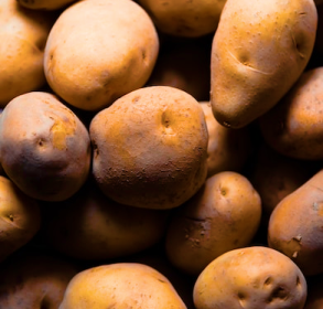Potato