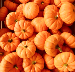Pumpkin