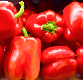 Capsicum
